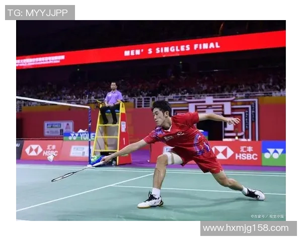 体育实时数据羽毛球装备选购指南精选舒适耐磨球鞋推荐助你提升竞技表现