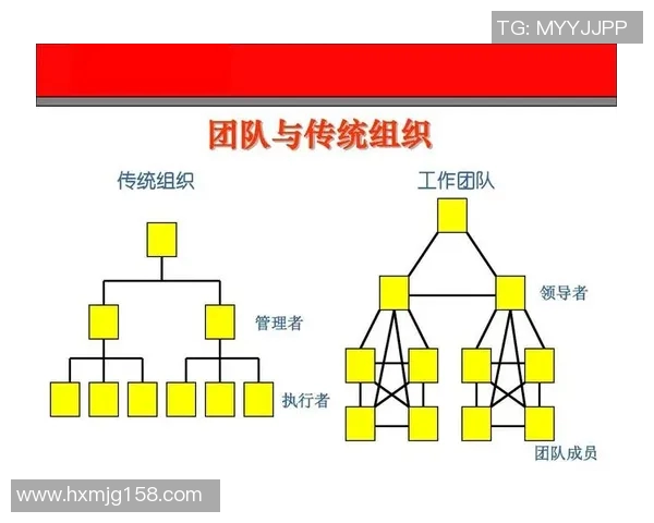 运动数据南京乒乓球队战术解析聚焦技术与团队协作的完美结合