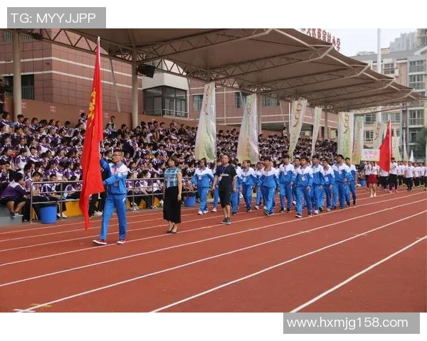 运动最新数据深入分析西安排球队的阵地战战术与执行策略