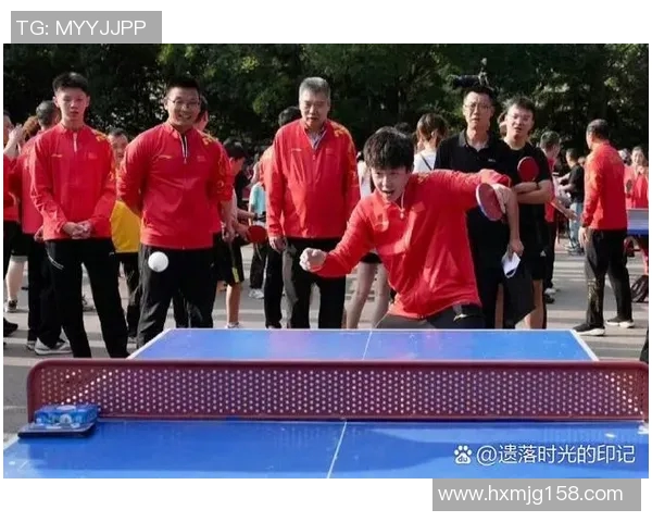 实时新闻乒乓球新手必看团队协作技巧与入门指南助你快速提升球技